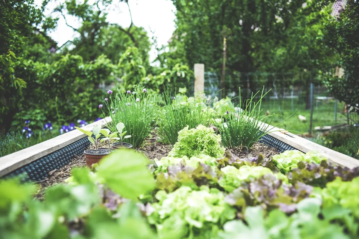 Récupération TVA essence agricole : procédure et montants 2026